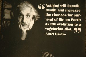 Albert einstein vegetarian quote