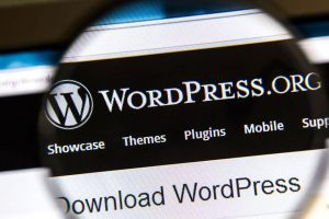 How Much Does a WordPress Website Cost (2021)?